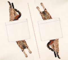 BFC31343 Leaping Cat Pocket topper
