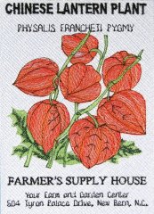 BFC0483 Seed Packets - Flowers 07