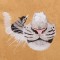 BFC1327 Large White Tiger Purse or Picture