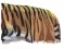BFC0993 Large Standing Tiger