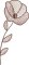 BFC2235 Transparent Flowers