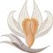 BFC2235 Transparent Flowers