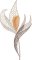 BFC2235 Transparent Flowers