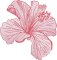 BFC2235 Transparent Flowers