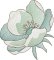 BFC2235 Transparent Flowers