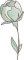 BFC2235 Transparent Flowers