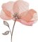 BFC2235 Transparent Flowers