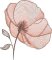 BFC2235 Transparent Flowers