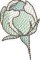 BFC2235 Transparent Flowers