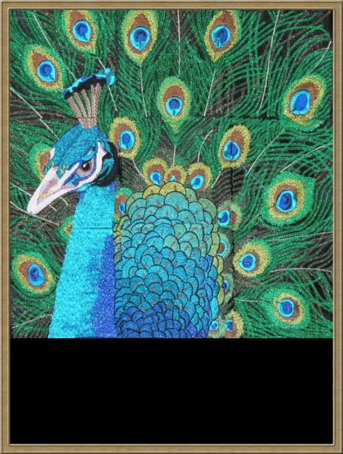 BFC0461 Stained Glass- The Peacock