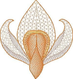 BFC2235 Transparent Flowers