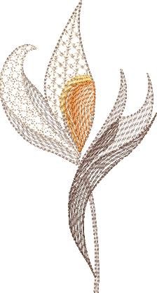 BFC2235 Transparent Flowers