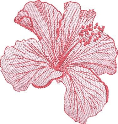 BFC2235 Transparent Flowers