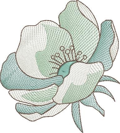 BFC2235 Transparent Flowers