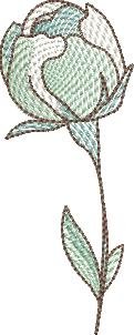 BFC2235 Transparent Flowers