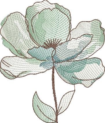 BFC2235 Transparent Flowers