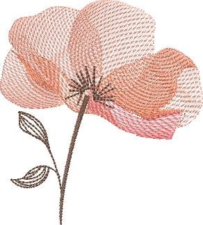 BFC2235 Transparent Flowers