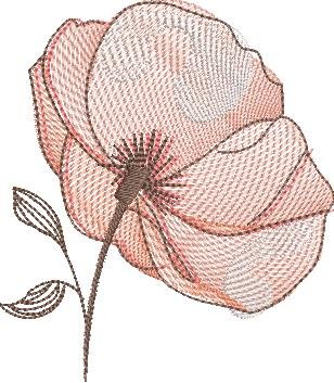 BFC2235 Transparent Flowers