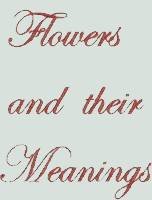 BFC1053 Flowers and Their Meanings