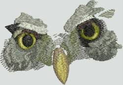 BFC1403 Large Pygmy Owl