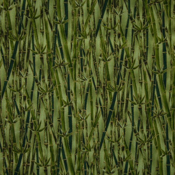 Grass-02-08.jpg