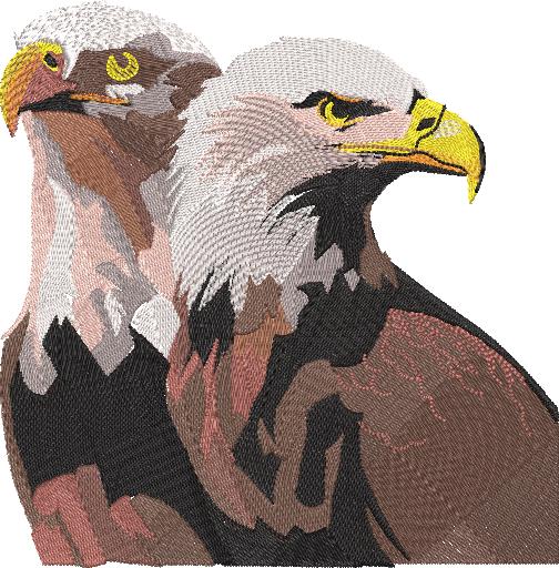 eagles.jpg?t=1786106697