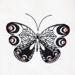 Butterflies & Other Insects