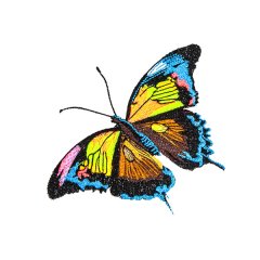 70% Off Butterflies & Insects