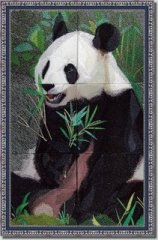 Asia