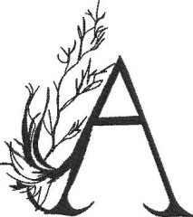 All Black Birds Alpha