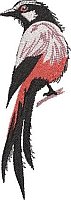 Red & Black Birds without Alpha