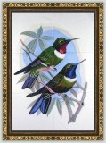 BFC1085 Window- Two Hummingbirds