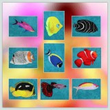 BFC1229 Tropical Fish