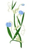 Simply Blue