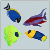 BFC1368 Four Tropical Fish