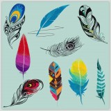 BFC1524 Fantastic Feathers