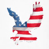 BFC1566 US Patriotic-03