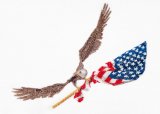 BFC1566 US Patriotic-04