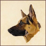 BFC30389 German Sheperd