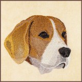 BFC30390 Beagle