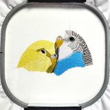 BFC31626 Parakeet Love