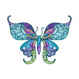BFC31811 19th Anniversary Butterfly 1