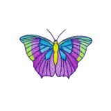 BFC31817 19th Anniversary Butterfly 7