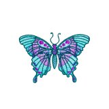 BFC31818 19th Anniversary Butterfly 8