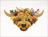 BFC32038 *Summer* the Highland Calf