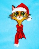 BFC32084 Elf Cat