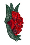 32183 Lace Flower - Cockscomb