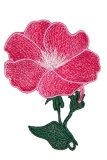 32184 Lace Flower - Petunia