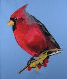 BFC0433 Cardinal-01