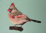 BFC0433 Cardinal-02